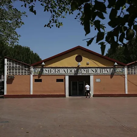 酒店 瓦伦西亚机场旅程住宿 *